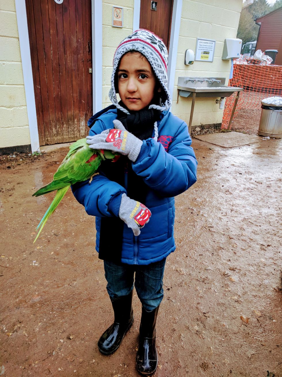 Rushey Mead Primary School Tropical Birdland