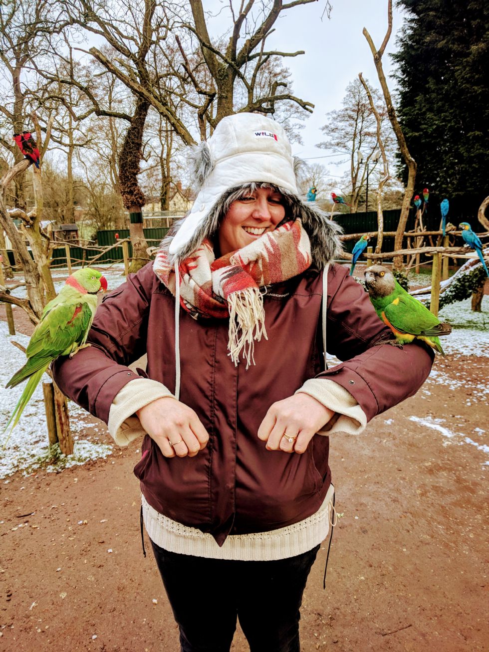 Rushey Mead Primary School Tropical Birdland