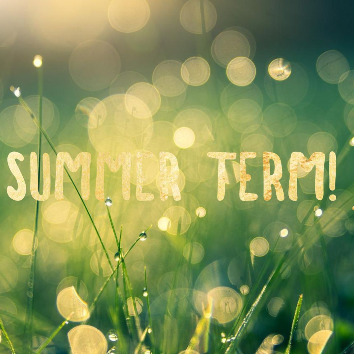 Summer Term! - Rushey Mead Primary School