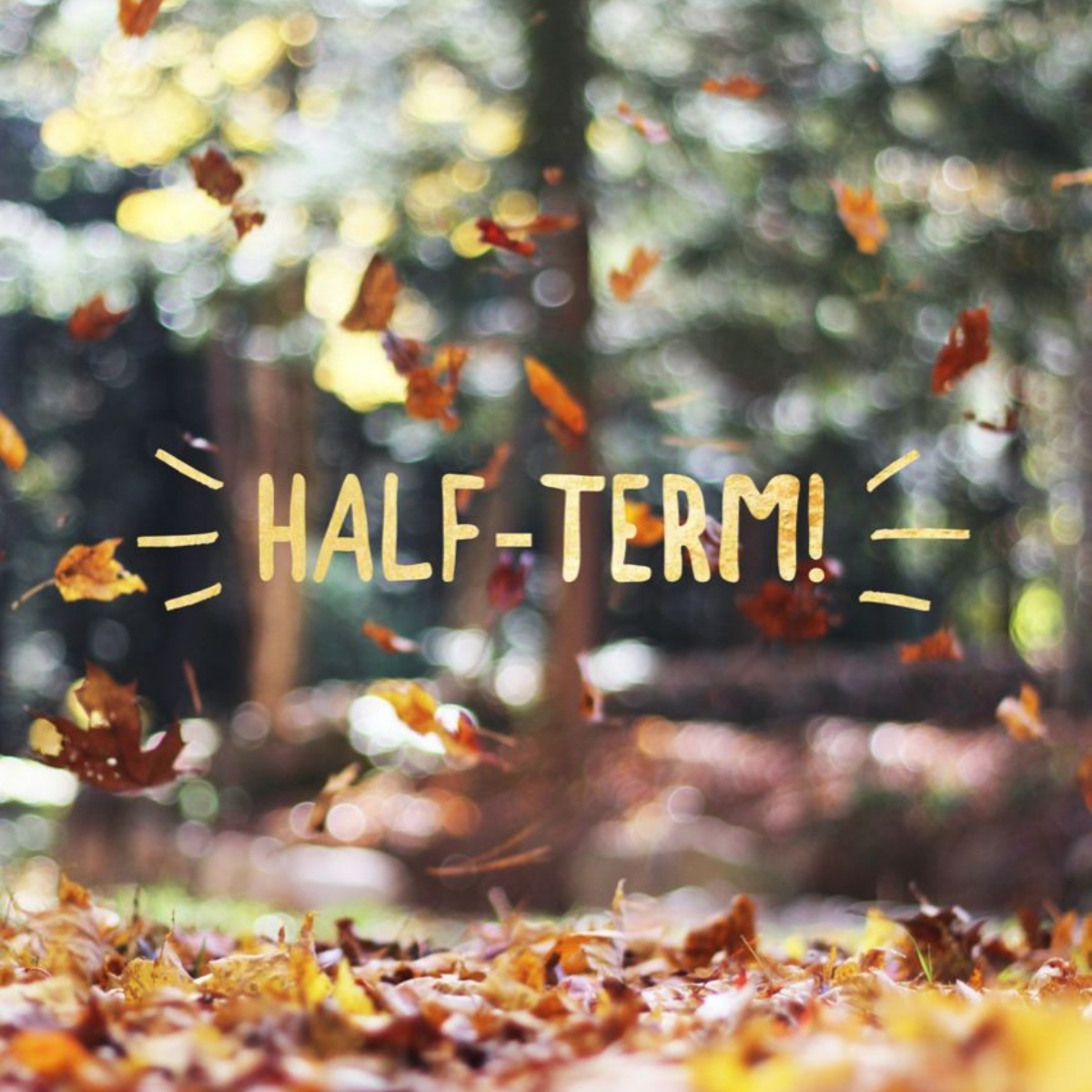 Half Term! Rushey Mead Primary School