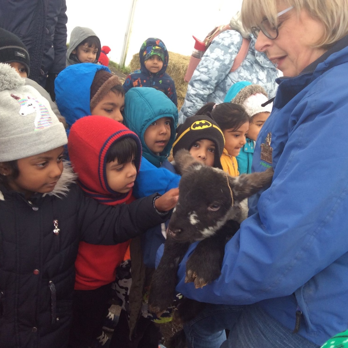 Reception's trip to the farm! Rushey Mead Primary School